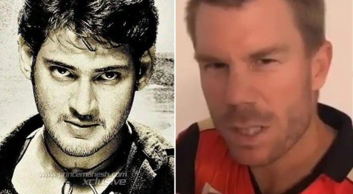 David Warner viral tiktok video act on Telugu movie Pokiri